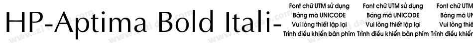 HP-Aptima Bold Itali字体转换